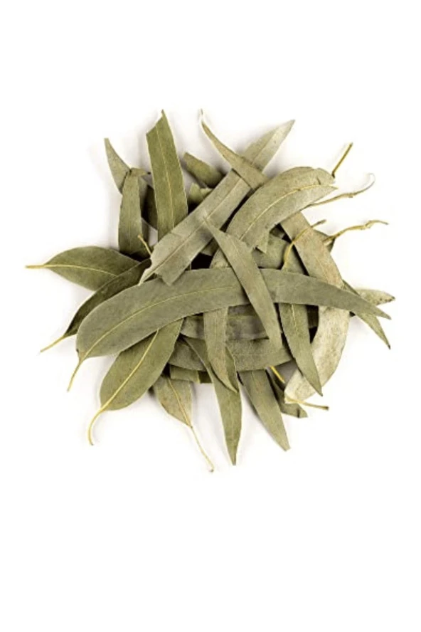 Organik Bitkim Okaliptus Yaprağı 500 gr - Resim 3