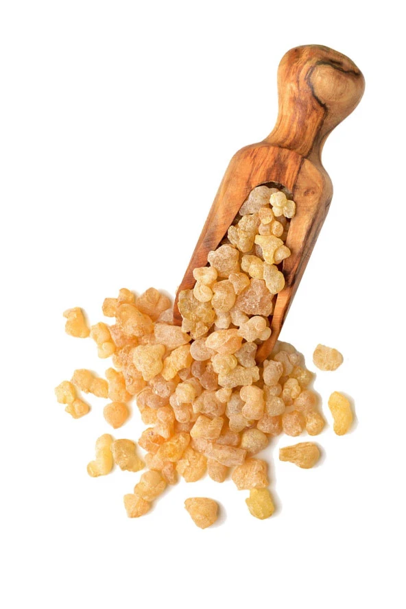 Organik Bitkim Akgünlük Sakızı (Günlük-Sığla Ağacı Sakızı) 500 gr - Resim 3