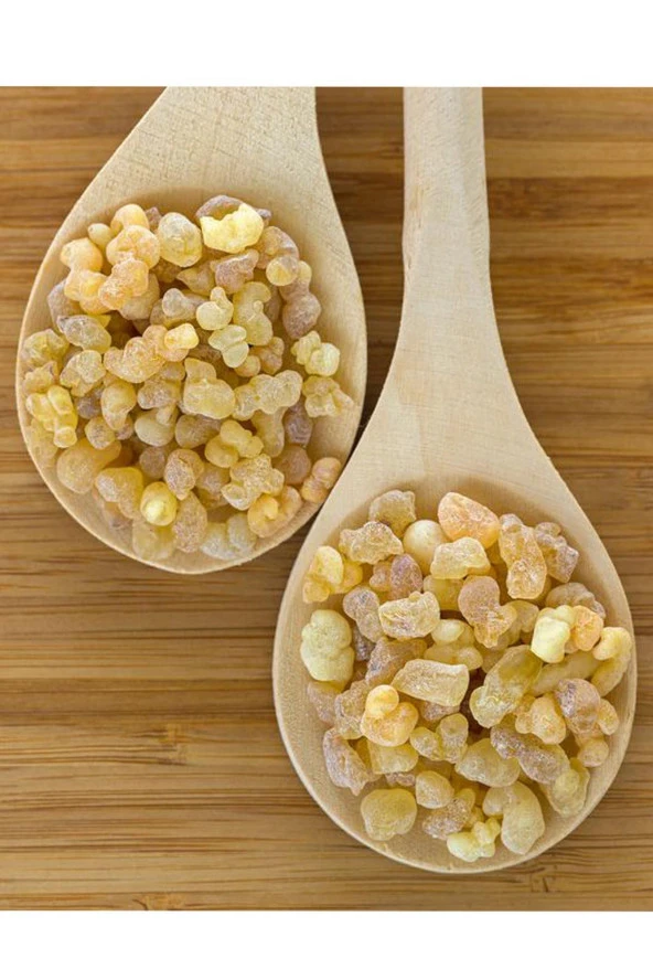 Organik Bitkim Akgünlük Sakızı (Günlük-Sığla Ağacı Sakızı) 500 gr - Resim 4