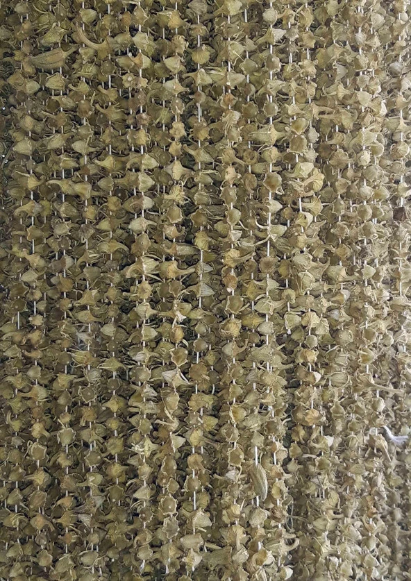 Organik Bitkim Çiçek Bamya Kurusu (Amasya Bamyası) 100 gr - Resim 4