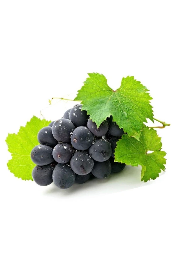 Organik Bitkim Antep Karası Üzüm Kurusu İri Boy Çekirdekli 500 gr - Resim 4