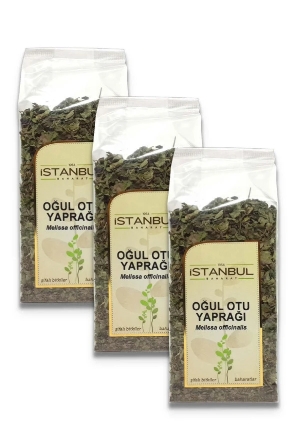 İstanbul Baharat Oğul Otu (Melisa Otu) Yaprağı 3x50 gr - 1