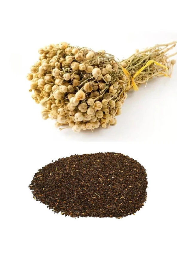 Organik Bitkim Üzerlik Tohumu 1 kg - Resim 3