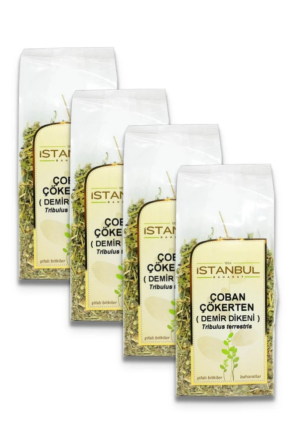 İstanbul Baharat Çoban Çökerten (Demir Dikeni) 4x70 gr