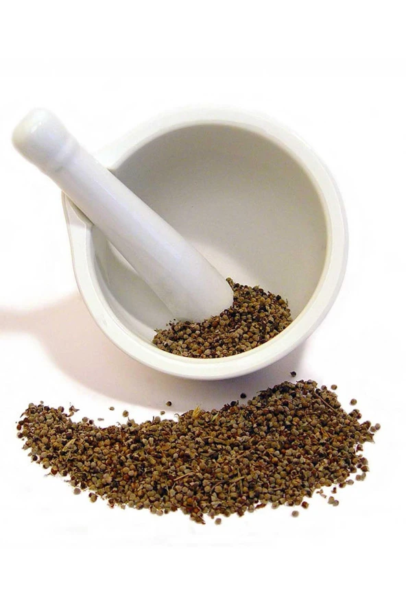 Organik Bitkim Toz Hayıt Tohumu 150 gr - Resim 3