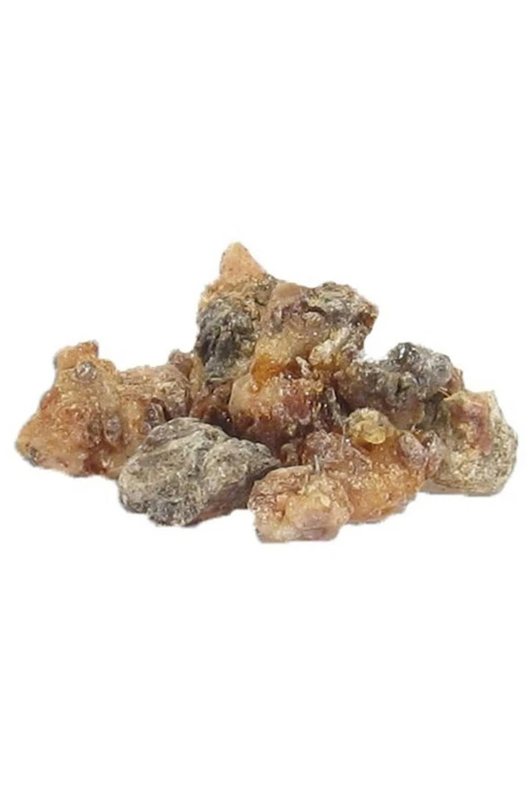 Organik Bitkim Çam Sakızı 500 gr - 3