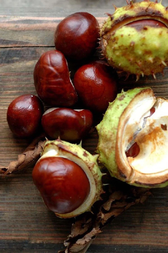 İstanbul Baharat At Kestanesi 5x100 gr - Resim 4