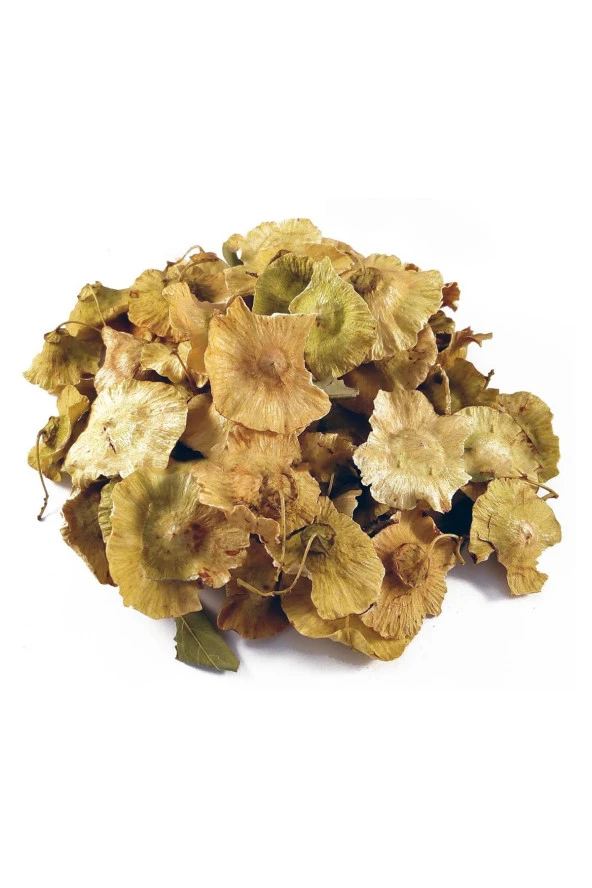 Organik Bitkim Karaçalı Otu 1000 gr - Resim 3