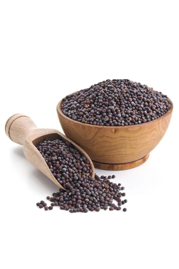 Organik Bitkim Tane Siyah Hardal Tohumu 250 gr - Resim 3