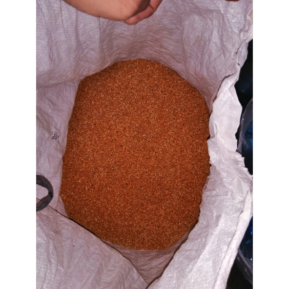 DOĞAL KIZIL DAL DARI tohumu 5 KG (TİLKİ KUYRUGU) - 2