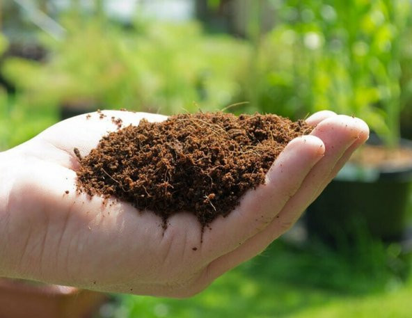 30 LT YK0 ithal saf CocoPeat torf, Çiçek, Tohum, fide coco peat Toprağı - 2