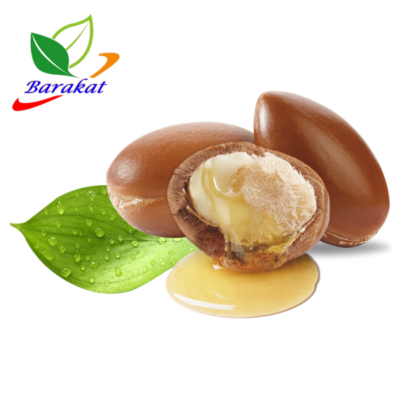 Argan ağaç tohumu 20 Adet tohum, Spinosa