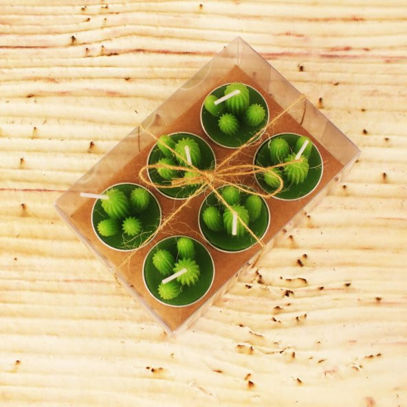 6 lı Kaktüs Mumlar Şık Paketli Model 2 - 2