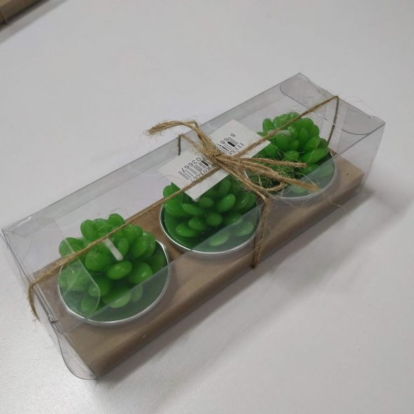 3 lü Kaktüs Mumlar Şık Paketli Model 1 - 2