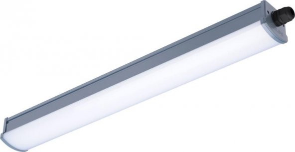 PHILIPS WT066C Led Etanj Armatür 45W 150 cm 4000K