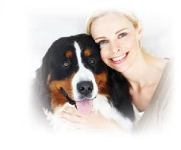 Bonacibo Adult Dog Form Yetişkin Köpek Maması 4 Kg - 2