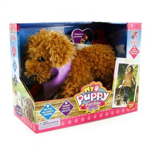 Yürüyen Köpeğim Moose - 3