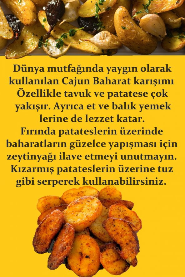 Cajun Baharatı 250 gr (Patates Baharatı) - 2
