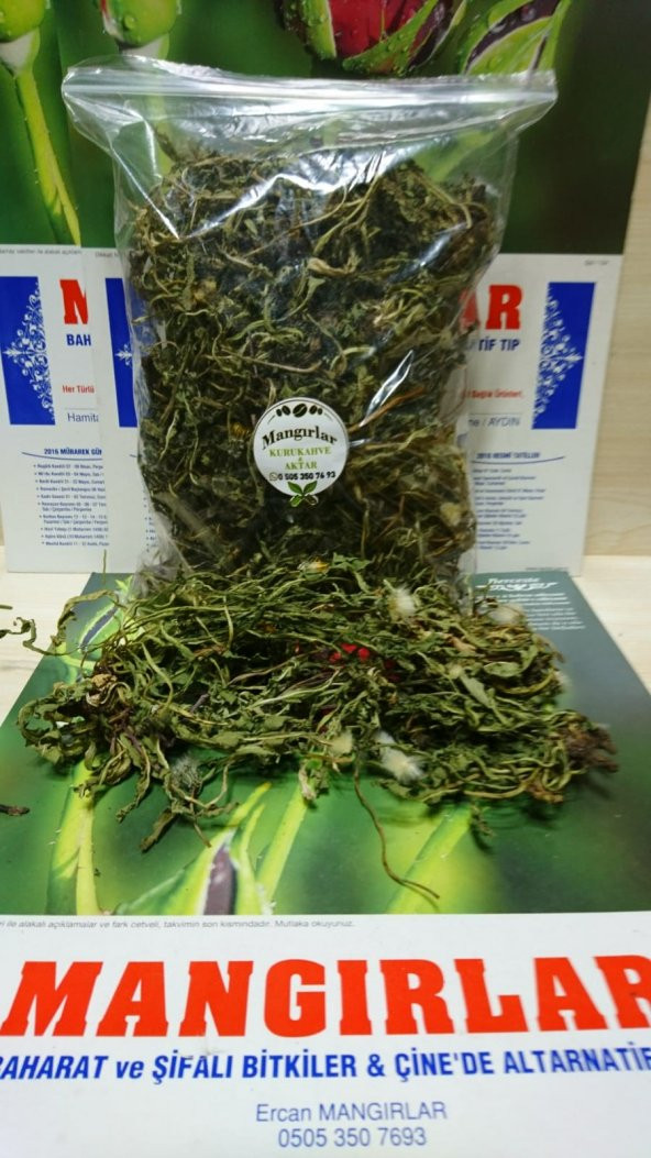 KARAHİNDİBA OTU 100 GR