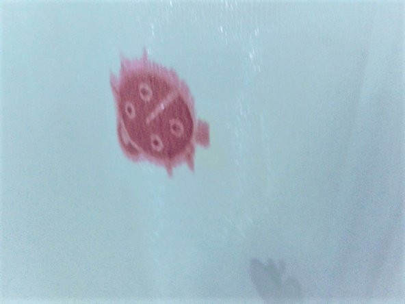 Taç Tül Perde-Çocuk odaları için - Renk: Ekru - Resim 9