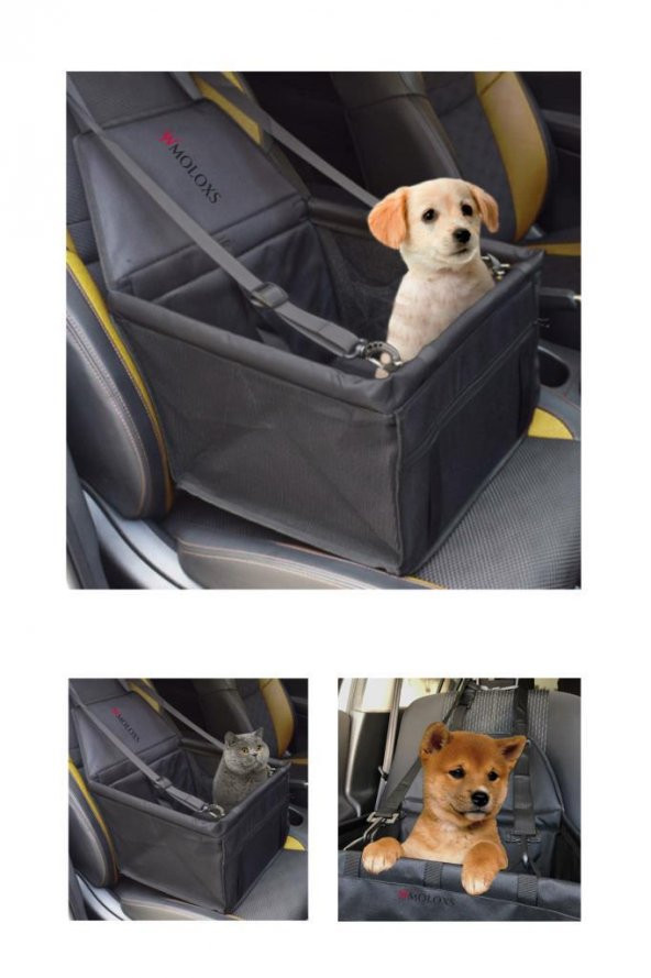 Wmoloxs Araba Kedi Köpek Koltuğu Taşıma Sepeti Araç Oto Seyahat Çantası Sıvı Geçirmez