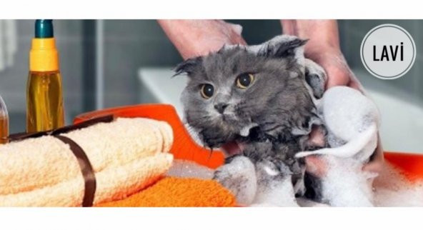 Kedi Yıkama Filesi Tırnak Kesme Filesi Kedi Bakım Sağlık Ürünü - 5