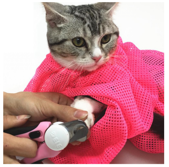 Kedi Yıkama Filesi Tırnak Kesme Filesi Kedi Bakım Sağlık Ürünü - 6