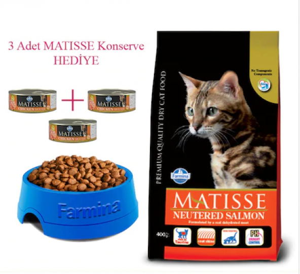 Matisse Kısır kediler için Somonlu Mama 10 Kg