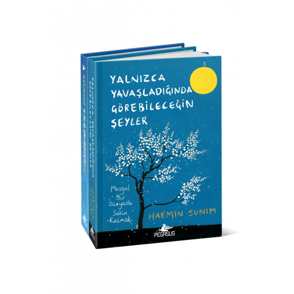 Yalnızca Yavaşladığında Görebileceğin Şeyler - Kendini Kusurlarınla Sev – Ciltli 2 Kitap Set