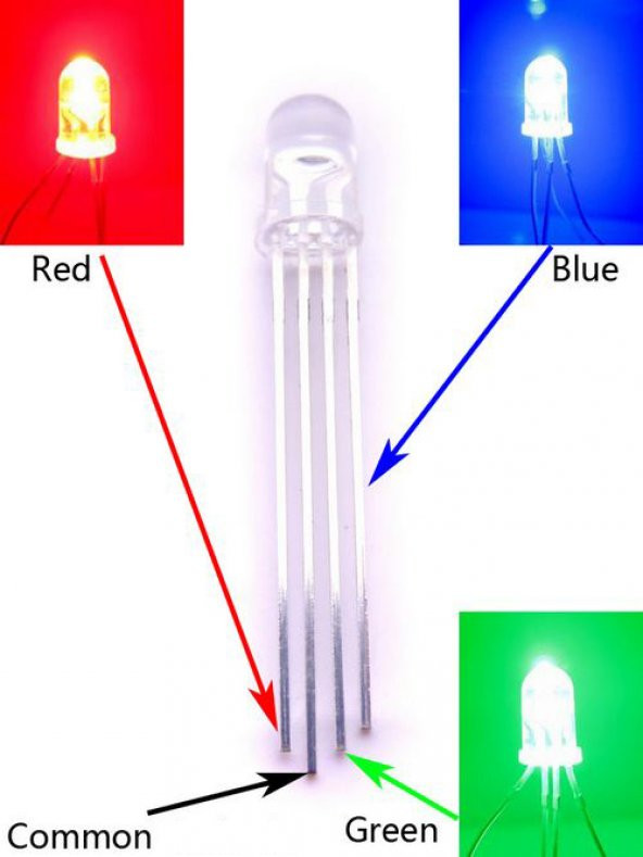5mm Şeffaf Rgb Led - 4 Bacaklı Ortak Anot - 2
