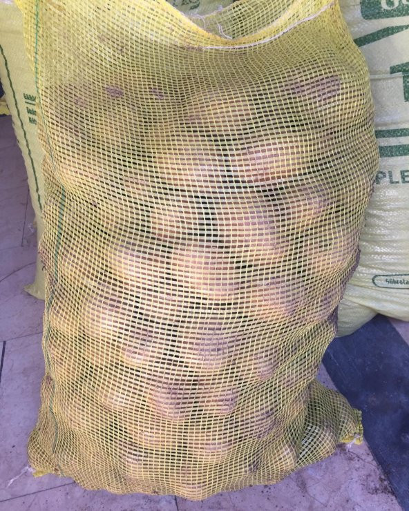 Patates Tohumu 5 Kg - 2