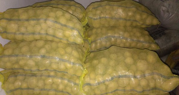 Agria Patates Tohumu 1 Kg - 2