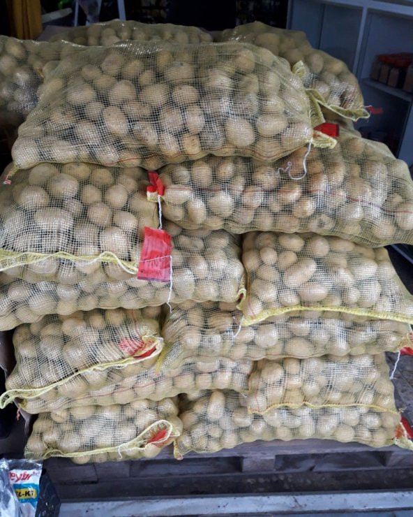 Agria Patates Tohumu 1 Kg - 5