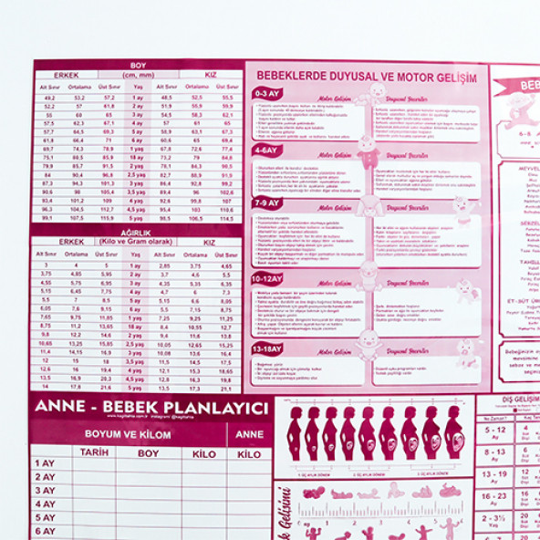 EVBUYA ANNE BEBEK PLANLAYICI AKILLI KAĞIT - 2