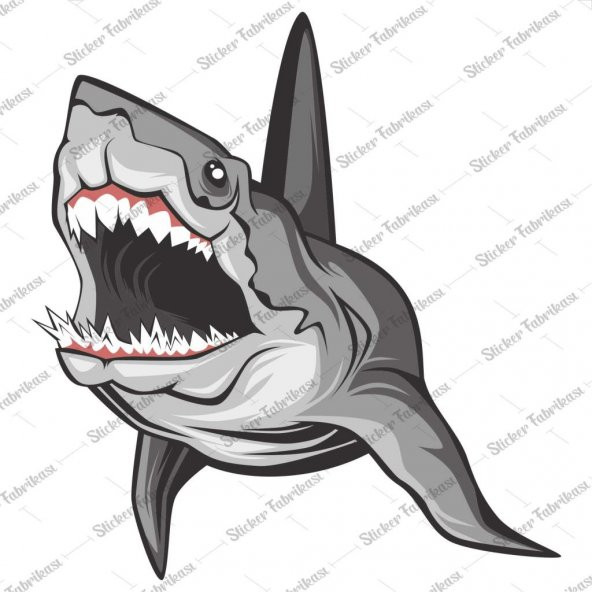 Köpek Balığı Vahşi Tehlikeli çıkartma Sticker 00987