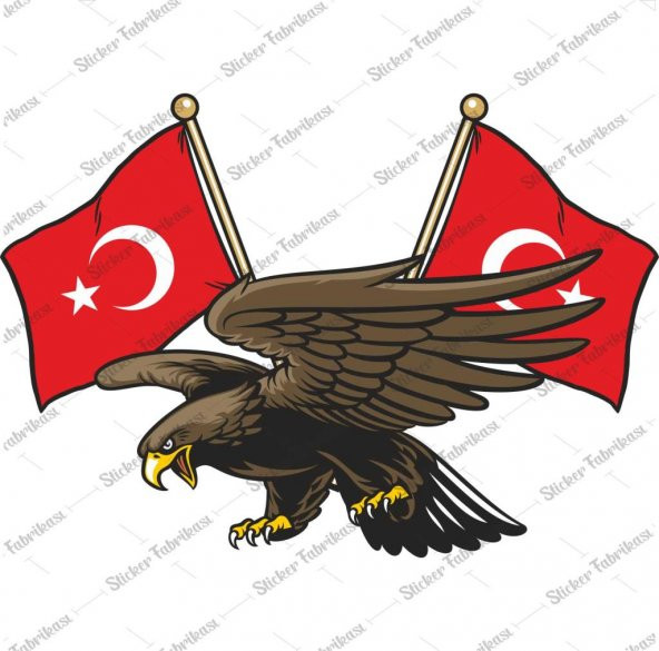 Kartal Türk Bayrağı Ay Yıldız Sticker 00941