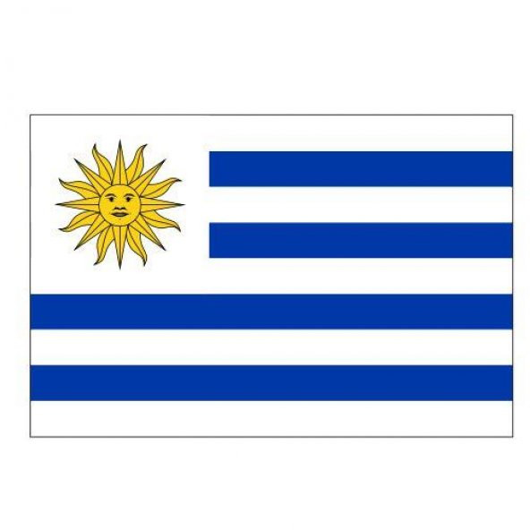 Uruguay Gönder Ülke Bayrağı 70x105 - 1