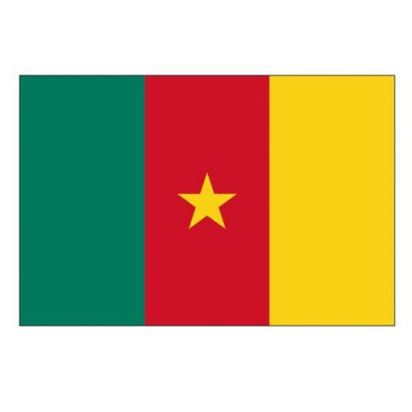 Kamerun Gönder Ülke Bayrağı 100x150