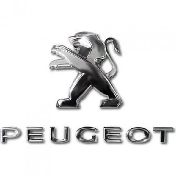 PEUGEOT 2008 ARKA BAGAJ  KAPUTU-  PEUGEOT YAZISI   9678484680 - 2