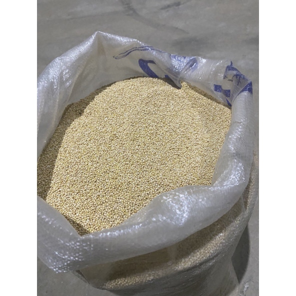 Muhabbet kuş yemi Ak Darı 5 KG - 2