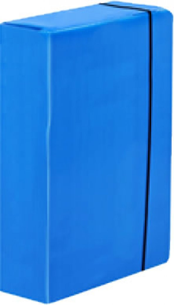 Karpin 29 X 40 X 9 Arşiv Kutusu