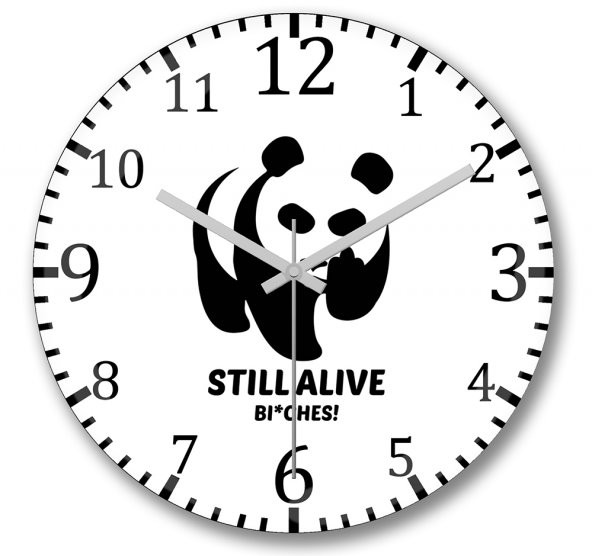 Still Alive Panda Duvar Saati Bombeli Gercek Cam