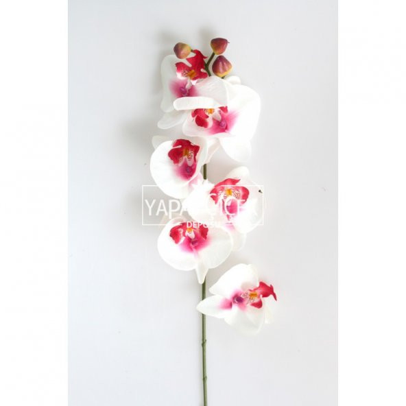 Orta Kalite Yapay Dal Orkide Çiçeği 75 cm Fuşya-Beyaz
