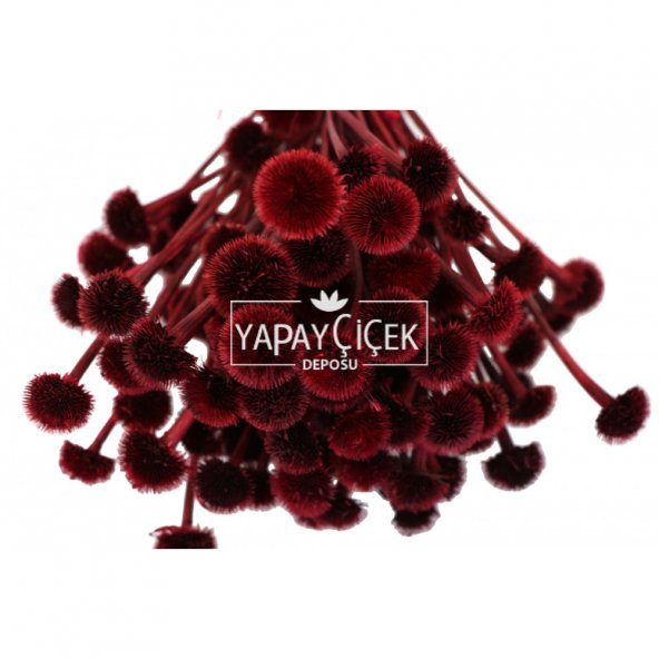 Kuru Çiçek Papatya Otu Demeti Kırmızı - 2