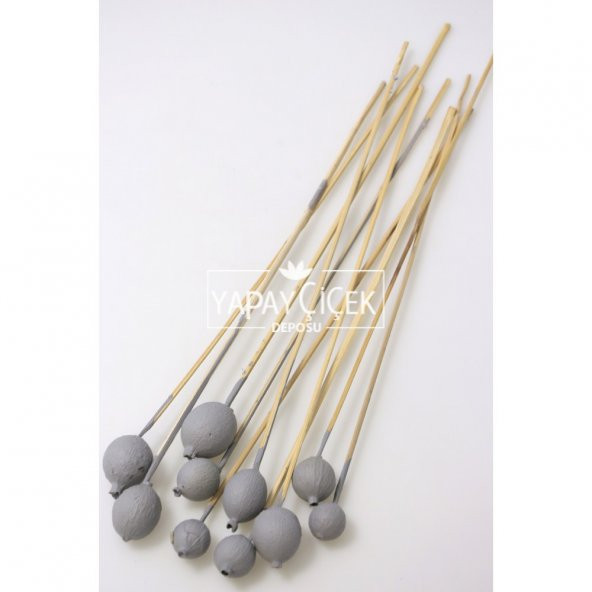 10lu Gauri Fruit On Steam Duman Gri