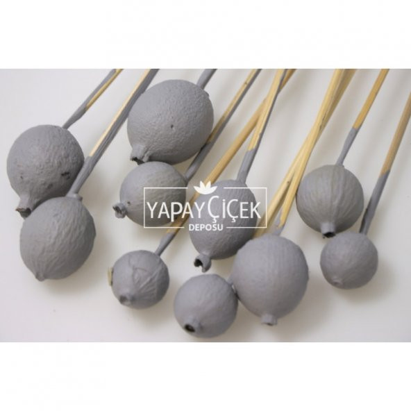 10lu Gauri Fruit On Steam Duman Gri - 2