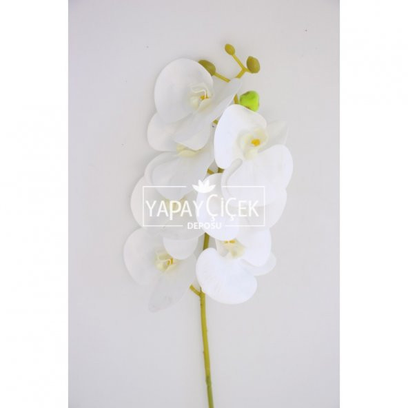 Kibar Islak Orkide Çiçeği 66 cm Beyaz