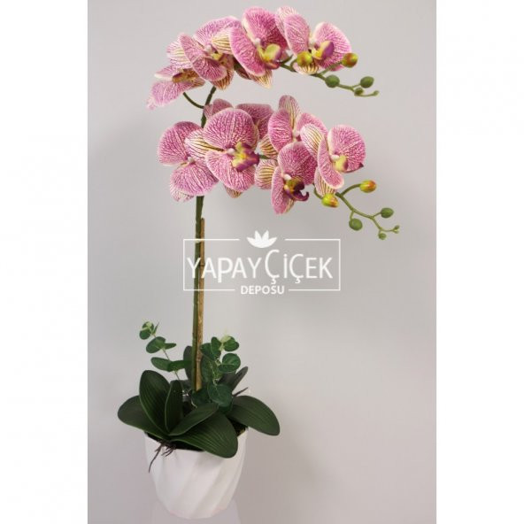 Yapay Çiçek Melamin Saksıda 2li Orkide Tanzim Fuşya Benekli 75 cm