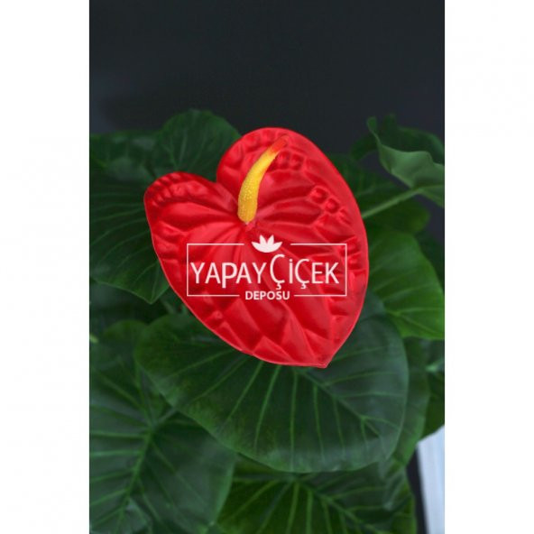 Yapay Saloon Bitkisi Antoryum Melamin Saksılı - 2