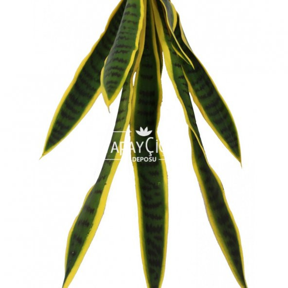 Yapay Peygamber Kılıcı Bitkisi 85 cm - 2